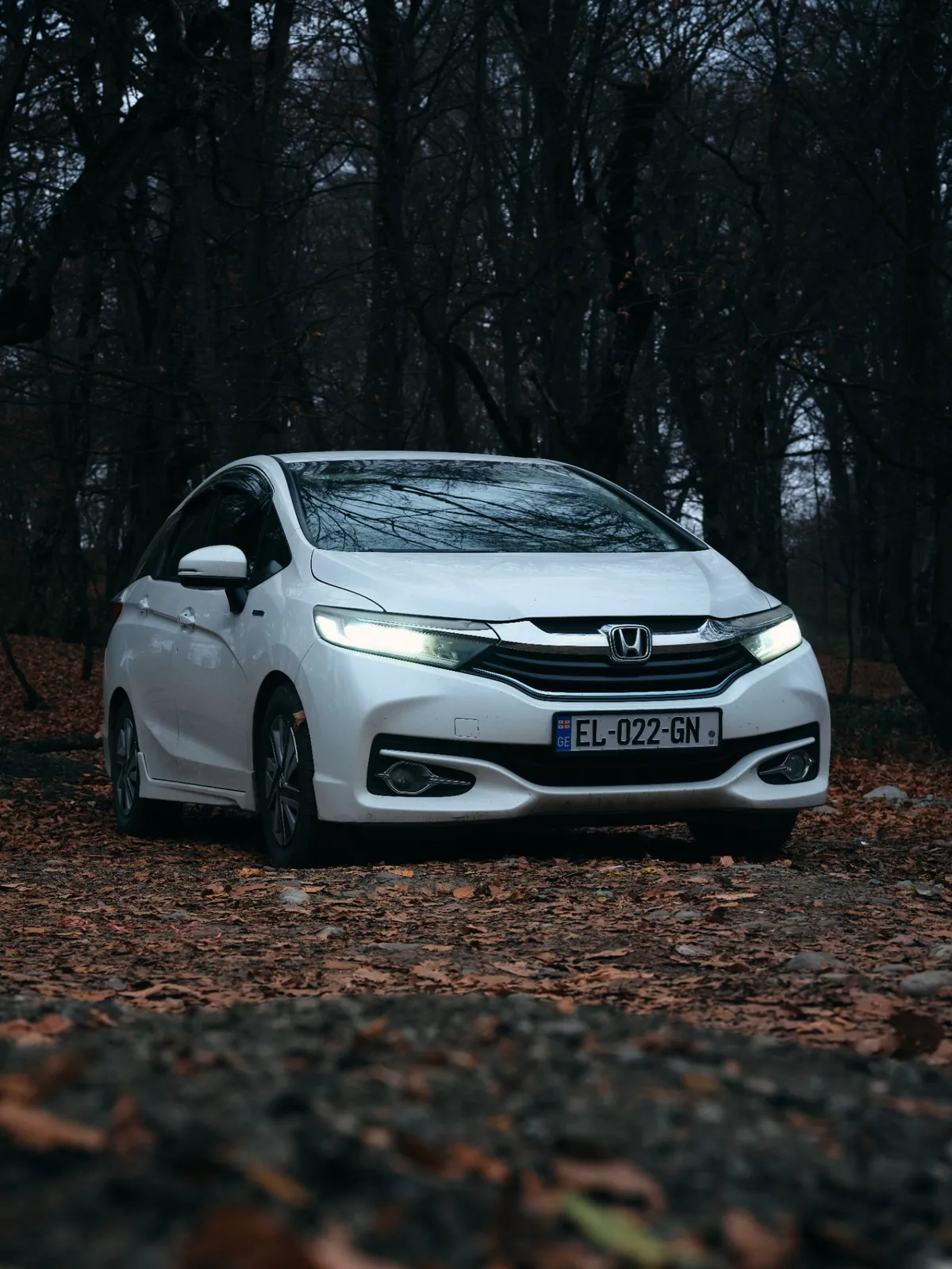 Honda Shuttle Hybrid с водителем в Тбилиси