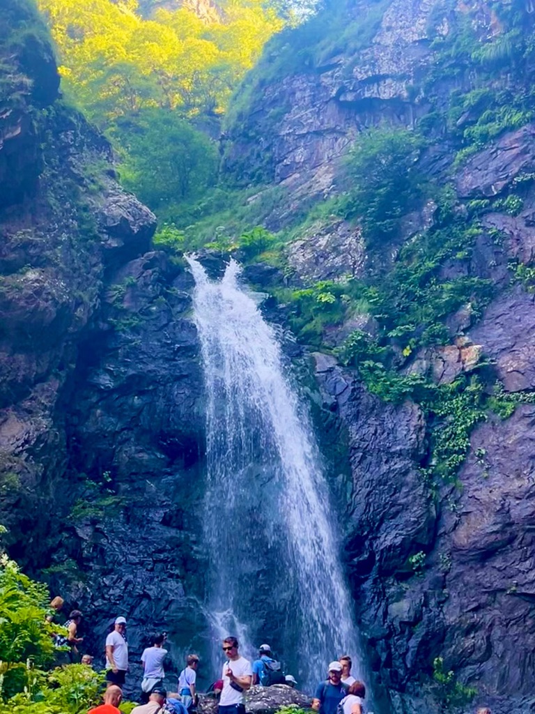 FD665FE3 0D0D 4C73 8211 55466E07531E 1 105 c