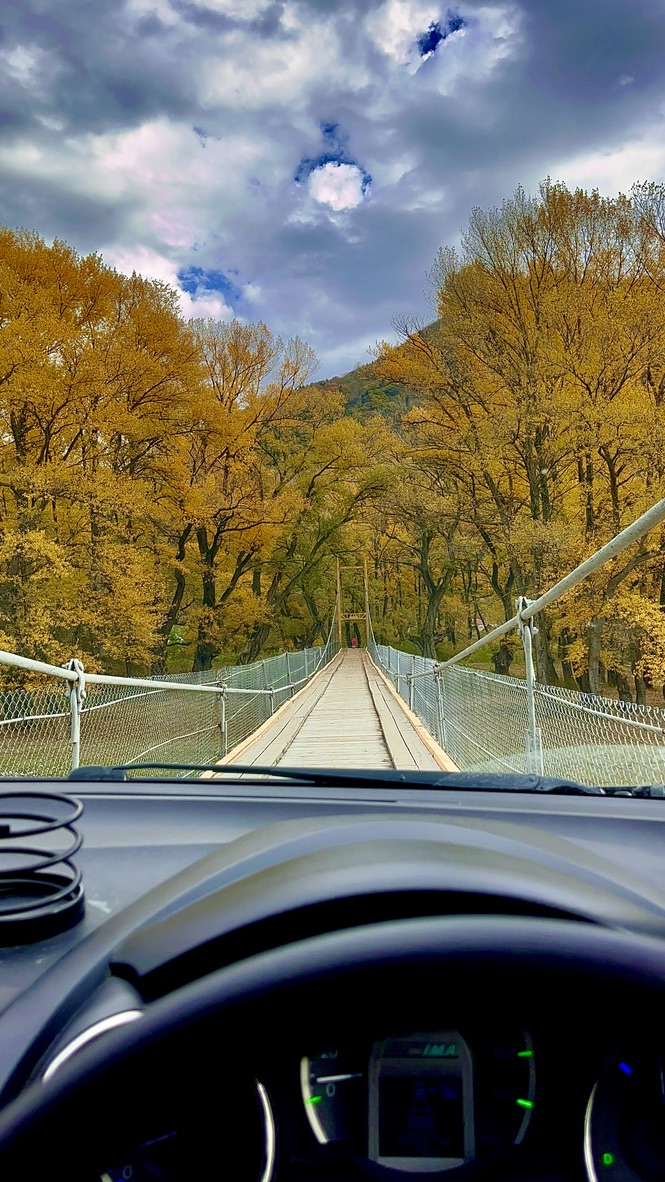 2BAA5BA2 E50C 44FF 9616 568C49622AC7 1 105 c